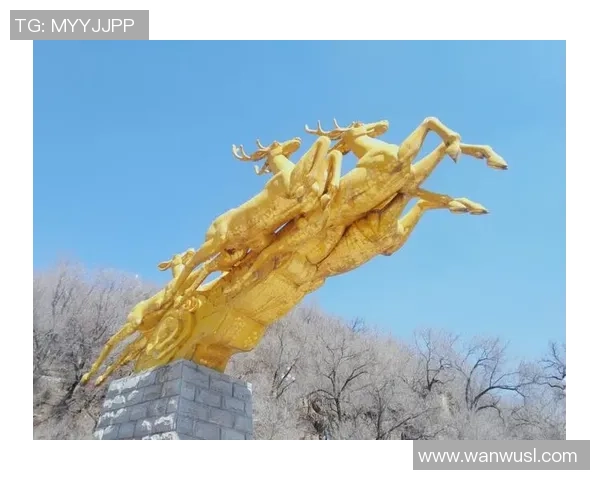 足球球星小鹿的故乡在哪里他的成长背景和成就揭秘