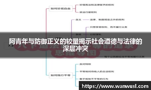 阿青年与防御正义的较量揭示社会道德与法律的深层冲突